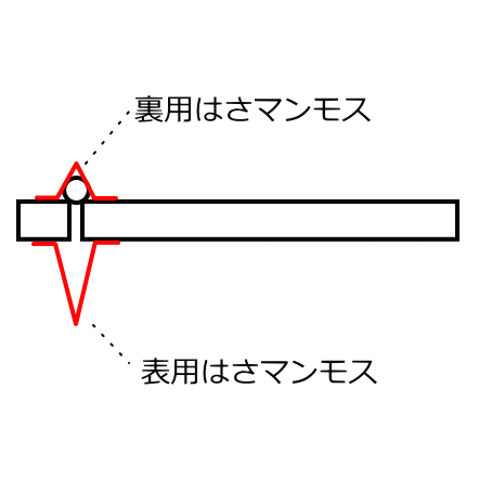 はさマンモスの裏表の写真