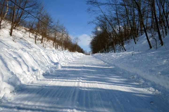 雪の積もった道路