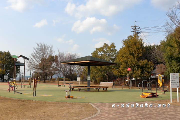 揚倉山健康運動公園健康遊具