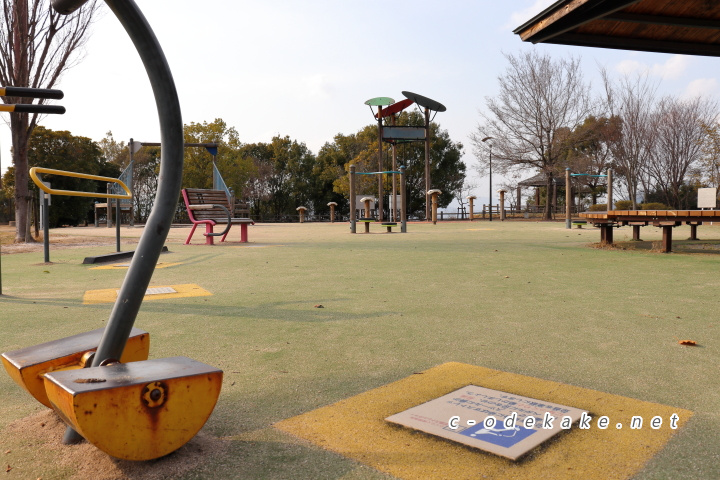 揚倉山健康運動公園健康遊具1