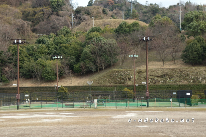 揚倉山健康運動公園の人工芝テニスコート