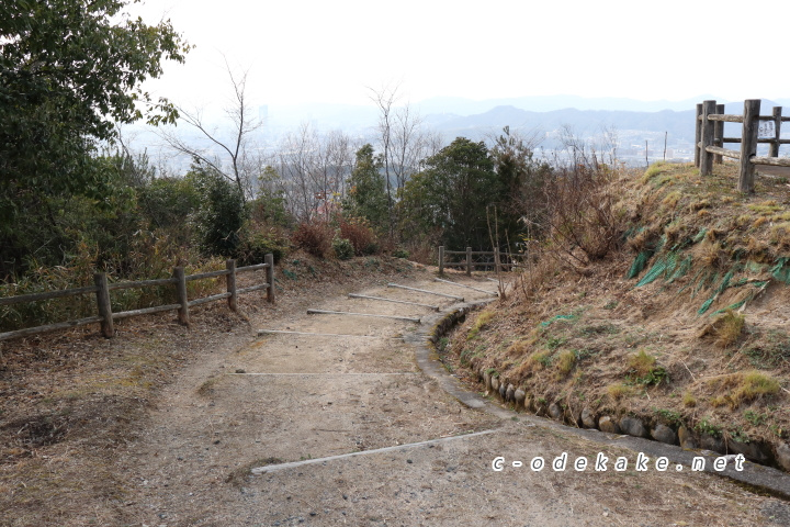 揚倉山健康運動公園散策の森