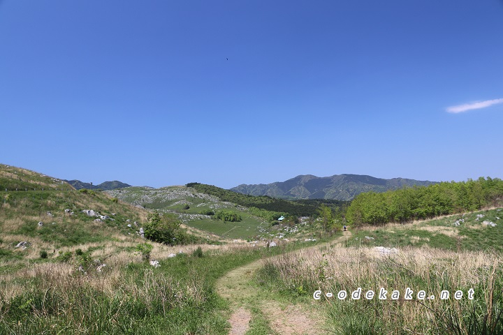 青空が広がる秋吉台