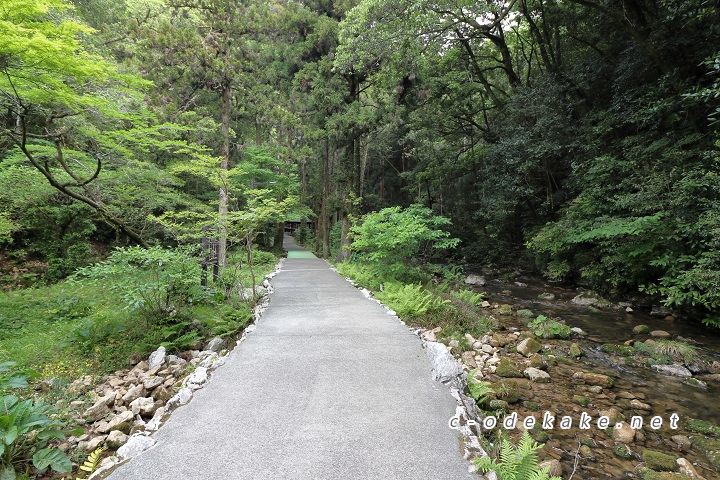 秋芳洞に至る小径