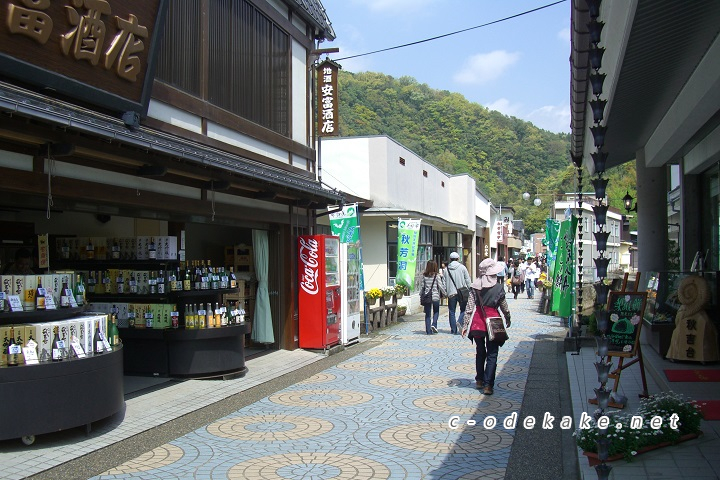 秋芳洞へ続く商店街