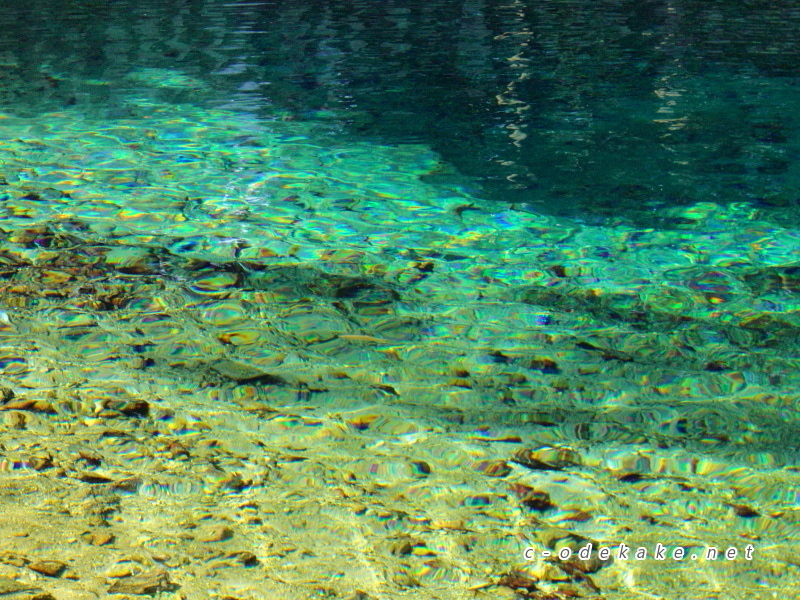 弁天池の湧き水