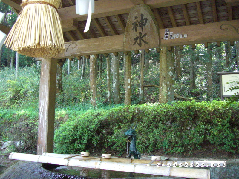 弁天神社の水舎利