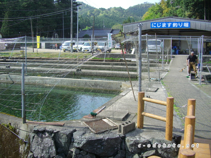 美祢市養鱒場釣り堀