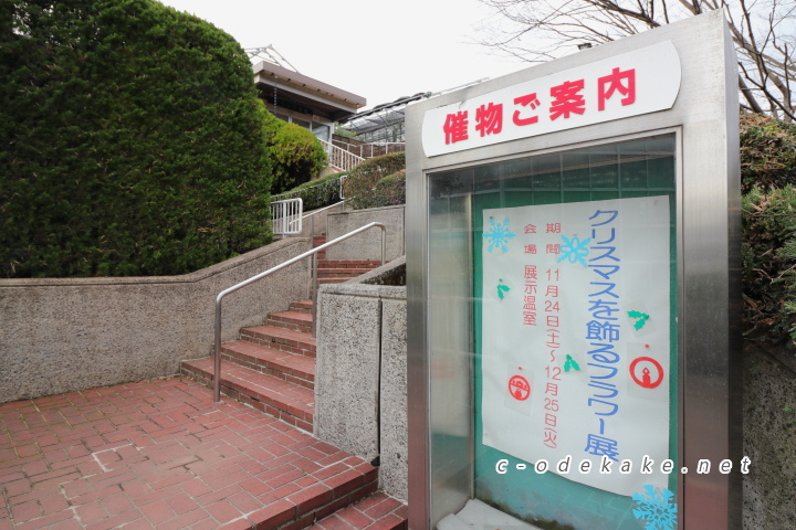 広島市植物公園（イルミネーション）