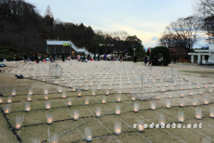 広島市植物公園（イルミネーション）