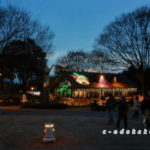 広島市植物公園（イルミネーション）