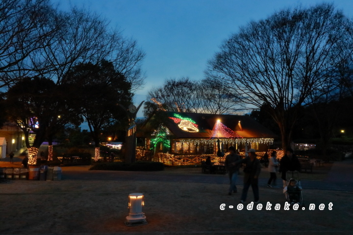 広島市植物公園（イルミネーション）