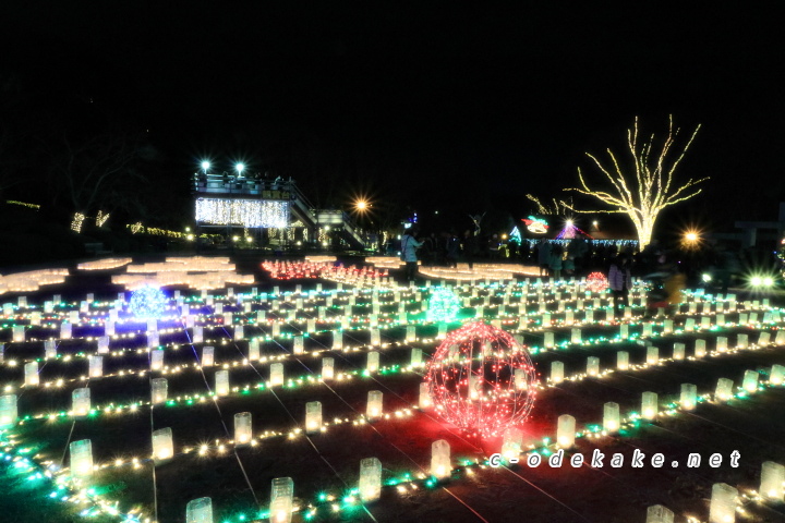 広島市植物公園（イルミネーション）