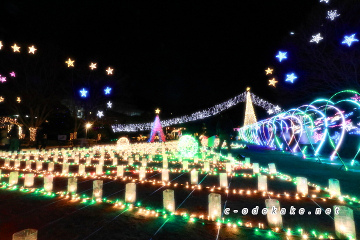 広島市植物公園（イルミネーション）