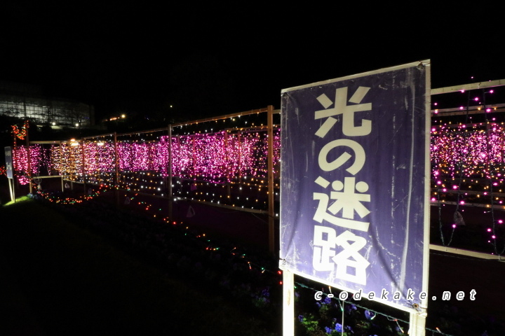 広島市植物公園（イルミネーション）