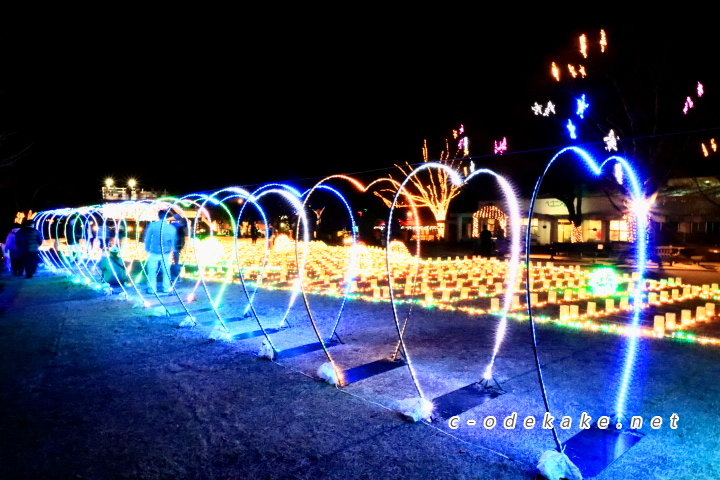 広島市植物公園（イルミネーション）