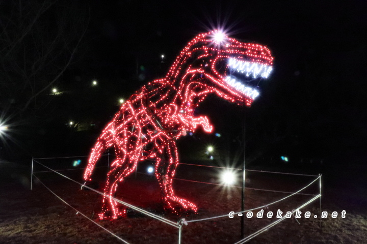 広島市植物公園（イルミネーション）