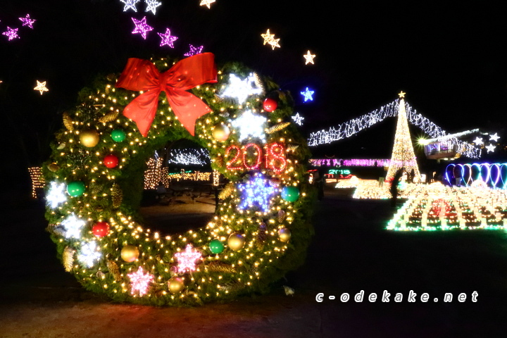 広島市植物公園（イルミネーション）