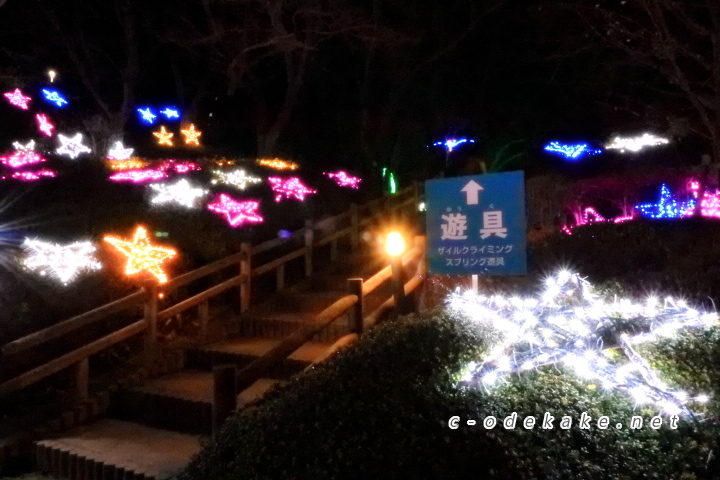 広島市植物公園（イルミネーション）