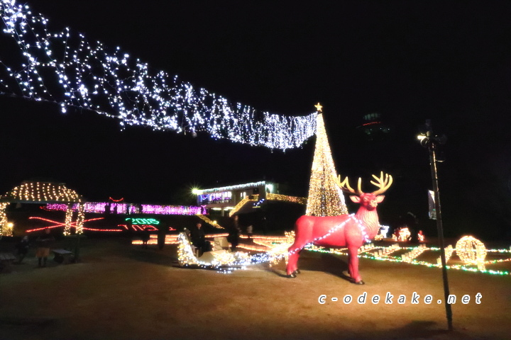 広島市植物公園（イルミネーション）