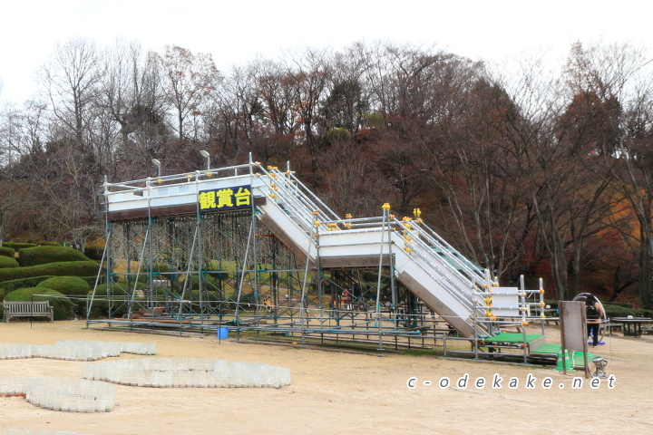 広島市植物公園（イルミネーション）