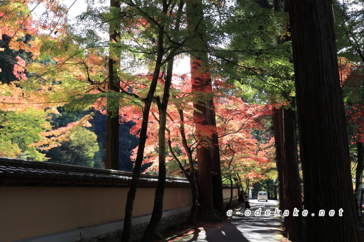 佛通寺山門へ至る紅葉2