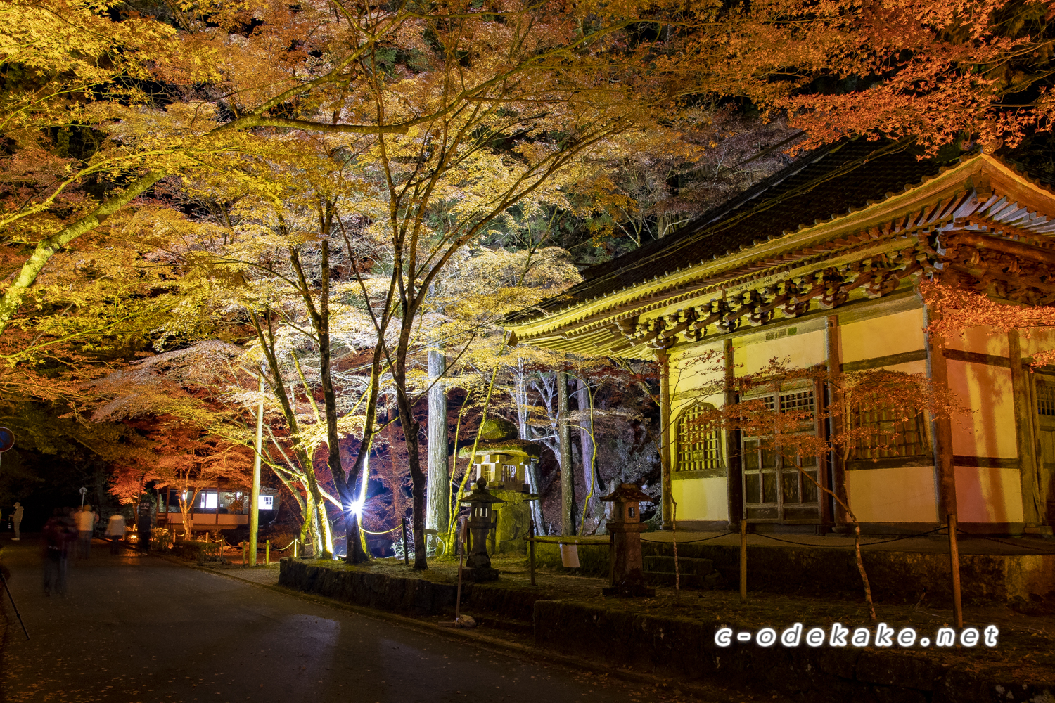 佛通寺紅葉ライトアップ