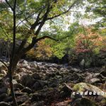 久井の岩海