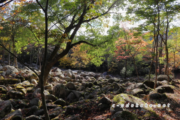 久井の岩海