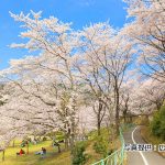 土師ダムサイクリングコース