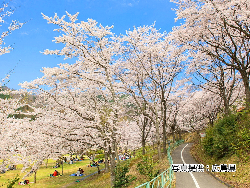 土師ダムサイクリングコース