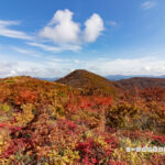 比婆山山系の紅葉