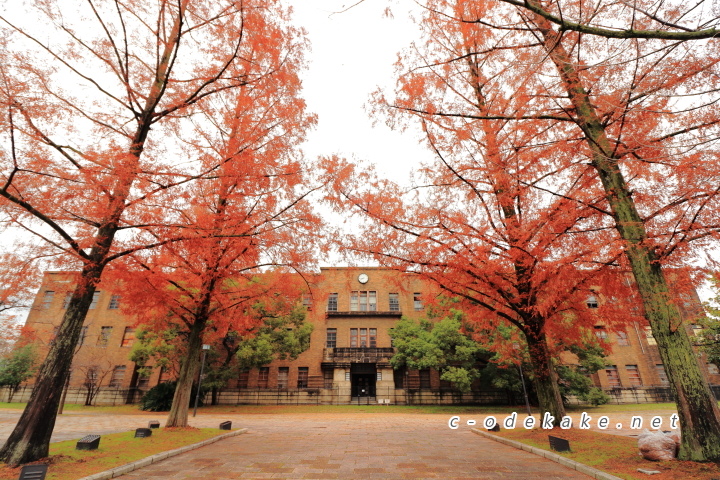 東千田公園