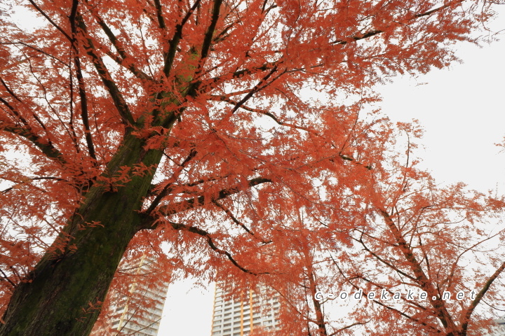 東千田公園