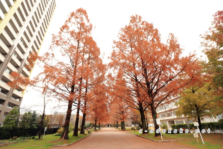 東千田公園