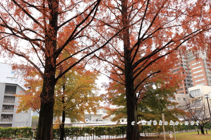 東千田公園