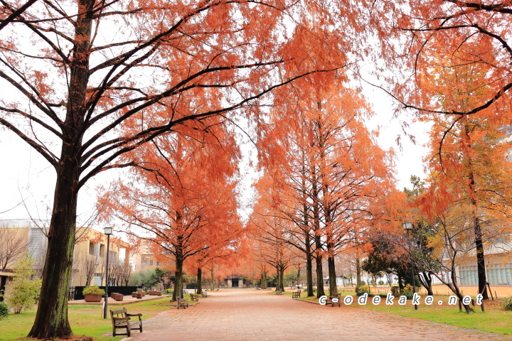 東千田公園