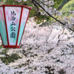 比治山公園-お花見ガイド