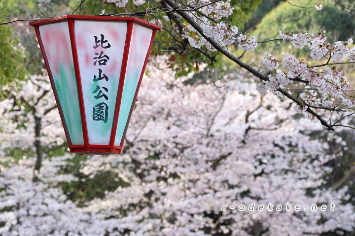 比治山公園-お花見ガイド