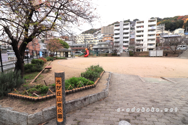 光が丘山根公園