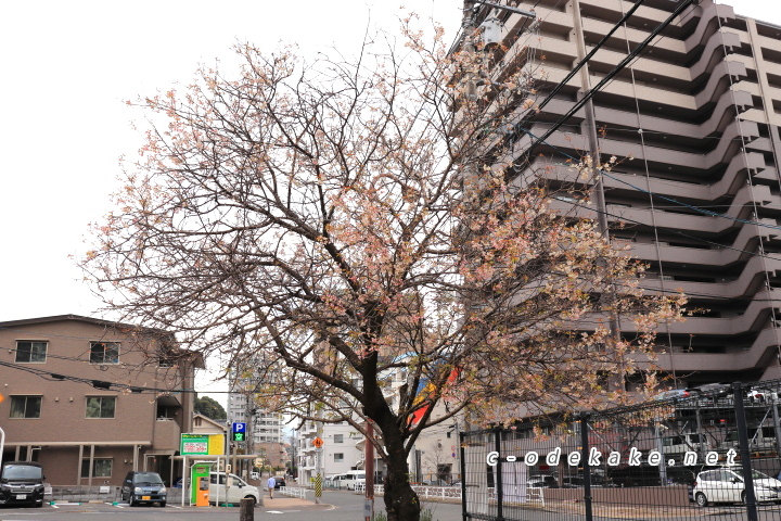 光が丘山根公園