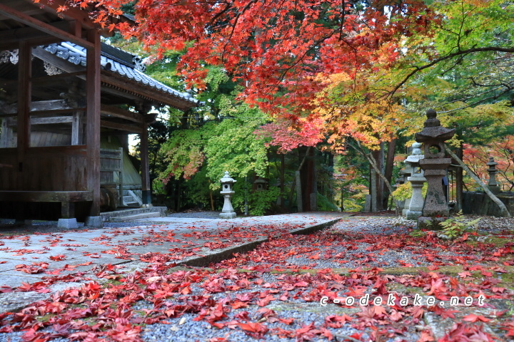 今高野山