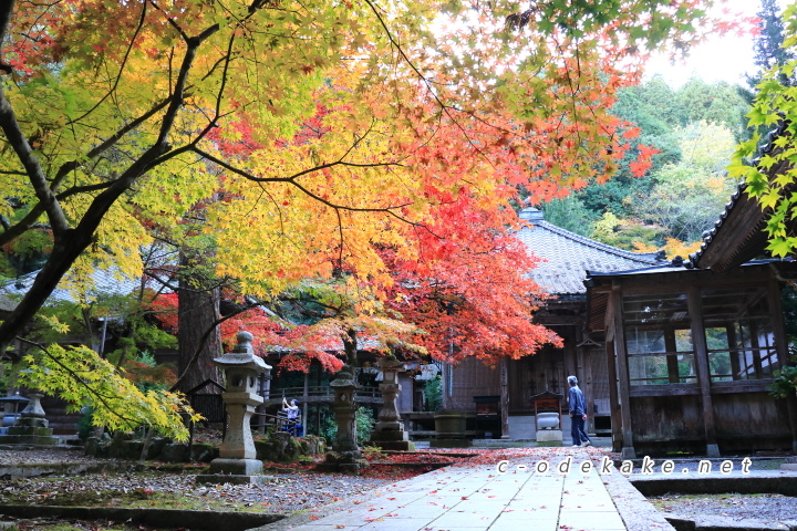 今高野山