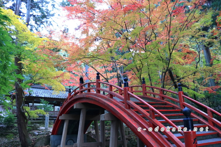 今高野山