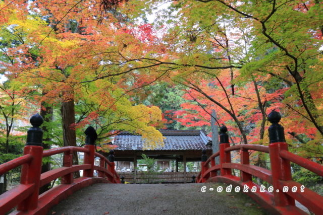 今高野山