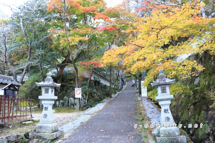 今高野山