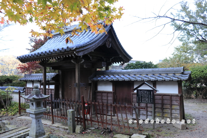 今高野山