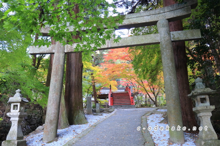 今高野山