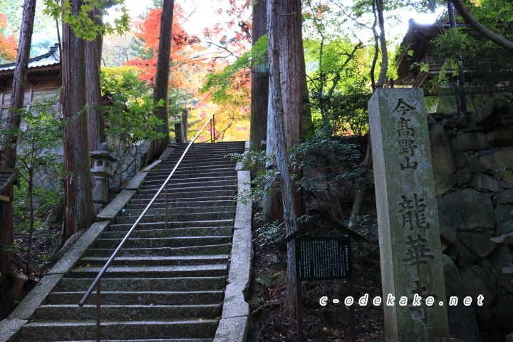 今高野山