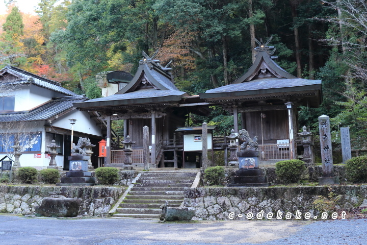 今高野山